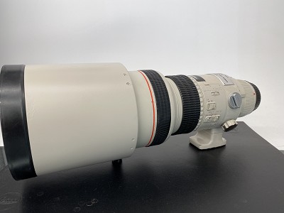 Canon EF 300mm f/2,8L USM (DS) - Andreella Photo