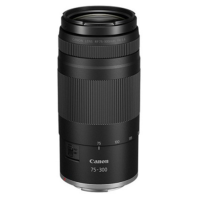 Canon RF 75-300mm F/4-5.6 - Andreella Photo