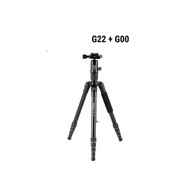 KingJoy G22+G00 - Andreella Photo